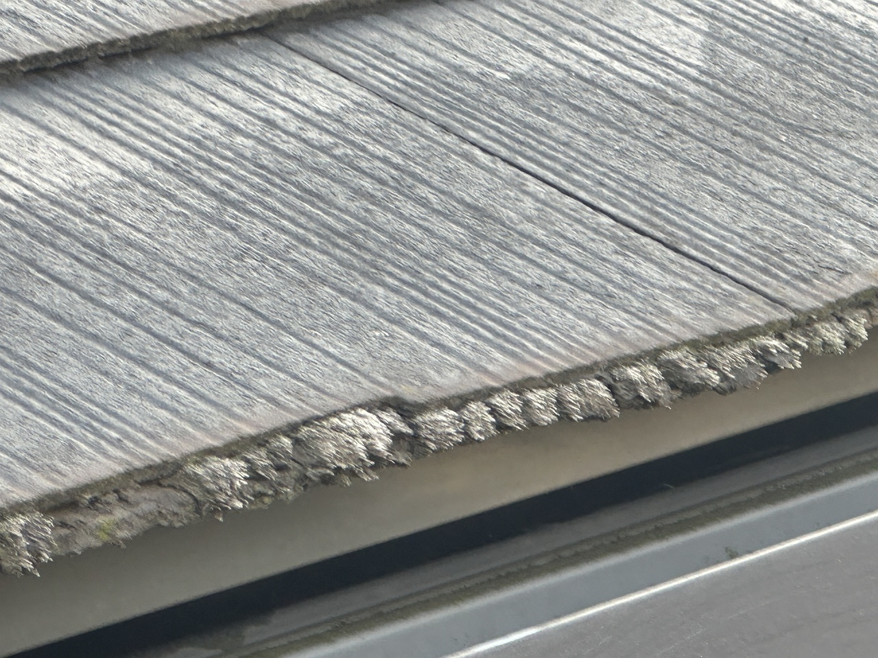 屋根に発生したコケとカビ。北九州の湿気と劣化による影響