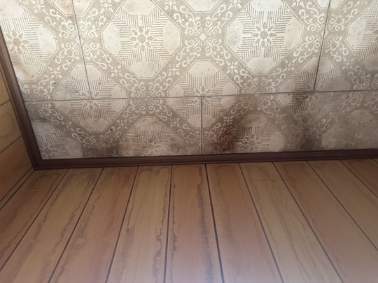 住宅内壁の雨漏りシミ。匠エージェントによる北九州での雨漏り調査。