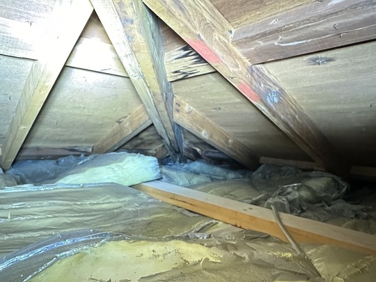 屋根下地に雨漏りが確認できる状態の写真｜屋根カバー工法が向かないケース